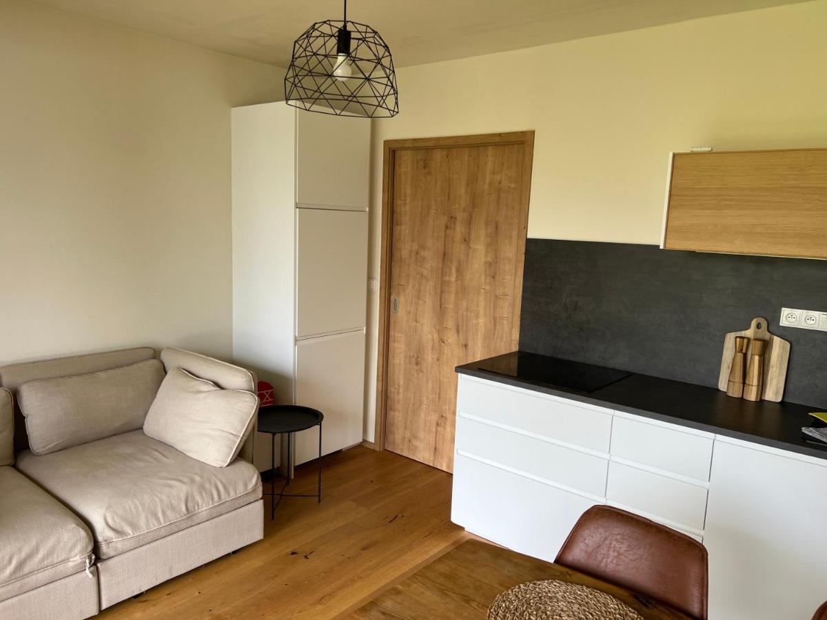 Apartmán Borůvka Železná Ruda Kültér fotó