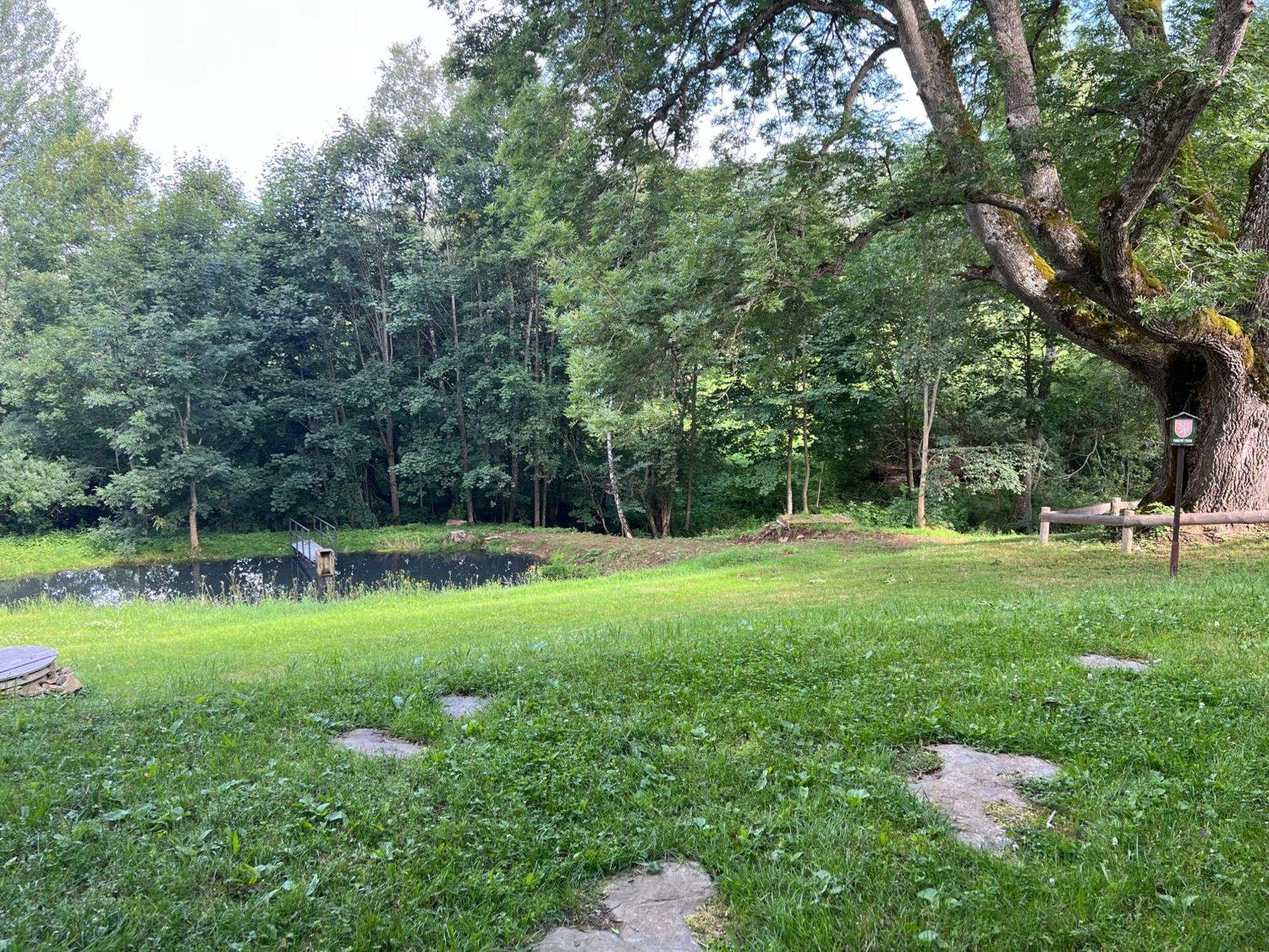 Apartmán Borůvka Železná Ruda Kültér fotó