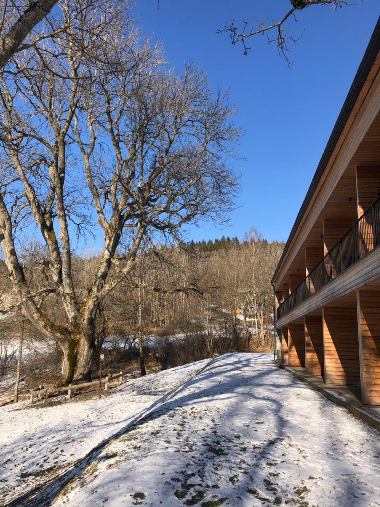 Apartmán Borůvka Železná Ruda Kültér fotó